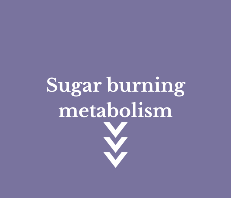 Fat burning metabolism